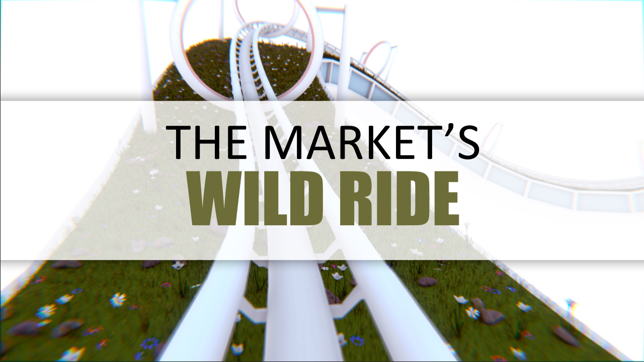 The Market's Wild Ride